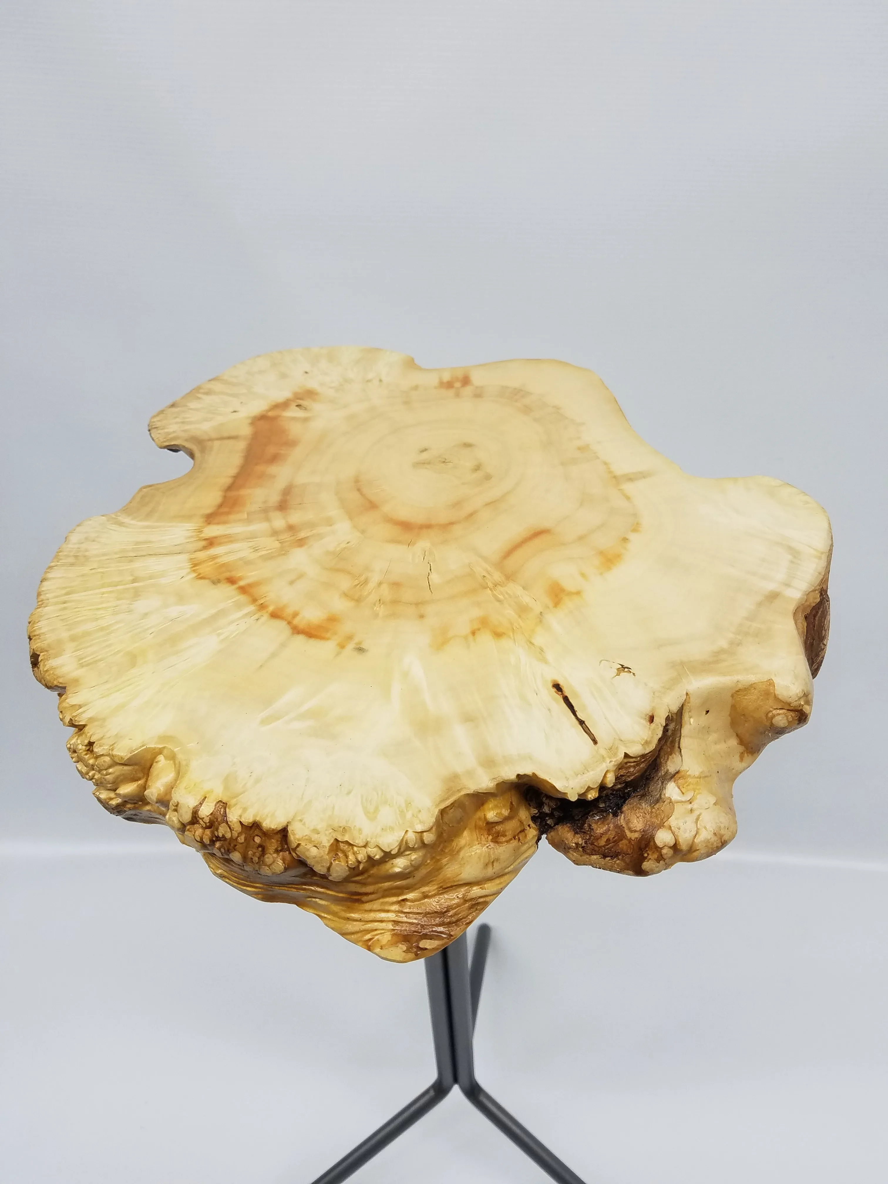 Small End Table- Drink Stand- Side Table- Maple Burl- Plant Stand- Foyer Table- Statuary Stand- Unique Furniture- Handmade Table- Slab Table